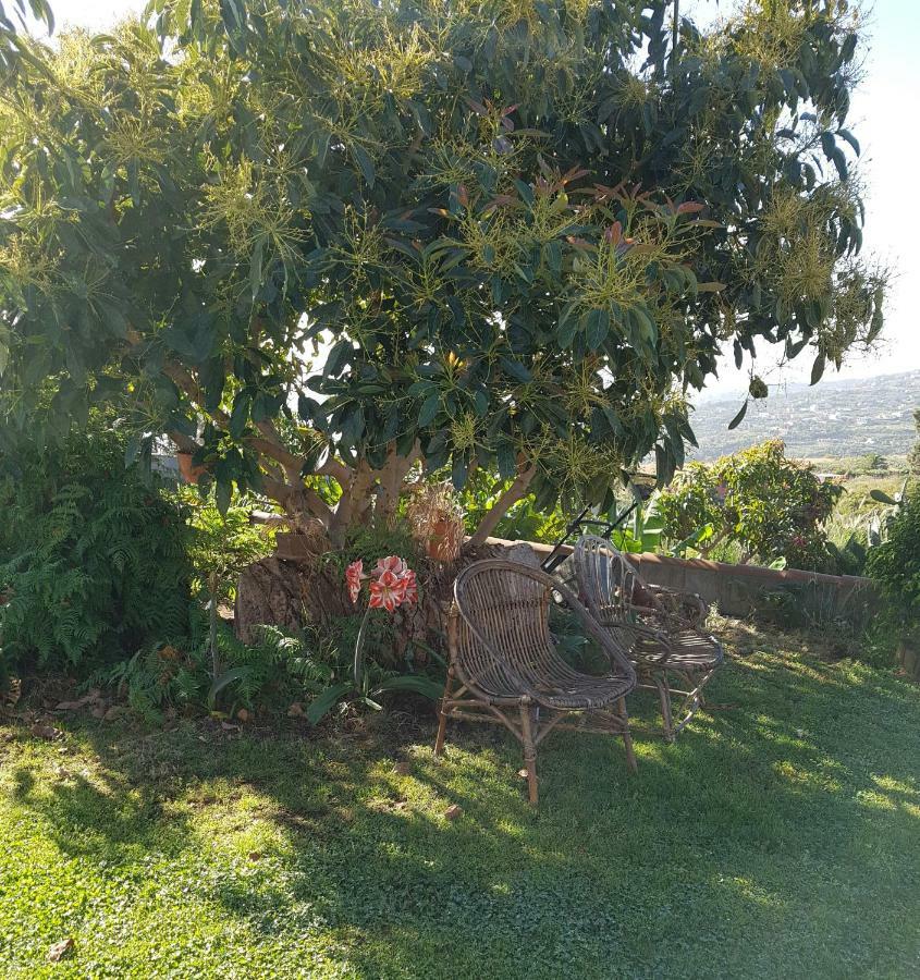 La Sabana * Buenavista de Abajo
